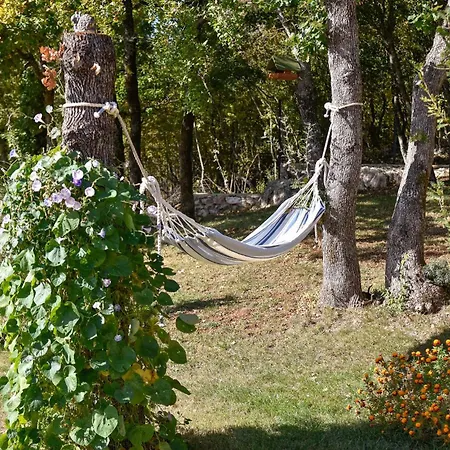 In Medov Dolac With Sauna *